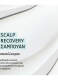 SCALP RECOVERY ΣΑΜΠΟΥΑΝ 2
