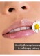 LIP CARE ΜΕ ΧΑΜΟΜΗΛΙ SPF 15  4