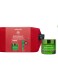 BEE RADIANT LIGHT GIFT SET 1