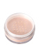 SHIMMERING LOOSE POWDER 2