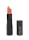 FULL COLOR LIPSTICK 3