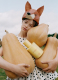 VELVETY BUTTERNUT COLOGNE​  1