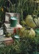 TOMATO LEAF HAND WASH​ 2