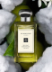 SEA SALT & BERGAMOT COLOGNE  2