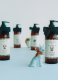 ORANGE & CEDARWOOD DOG SHAMPOO – WILDWASH EDITION 2