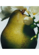 ENGLISH PEAR SCENTED DUO 1