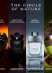 MAN WOOD ESSENCE EAU DE PARFUM REFILLABLE 5