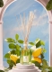 LIMONE CEDRATO GLASS BOTTLE HOME FRAGRANCE 3