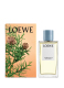 LOEWE CYPRESSE HOME FRAGRANCE 1