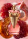 GAULTIER DIVINE COUTURE EAU DE PARFUM 2