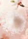 THE RITUAL OF SAKURA BODY SCRUB 2