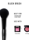 BLUSH BRUSH 1