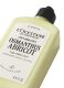 OSMANTHUS ABRICOT PERFUMED BODY LOTION 1