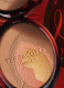 TERRACOTTA PEACOCK THE BRONZING POWDER 3