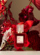 ANATOMY OF DREAMS SOGNO IN ROSSO PARFUM 2