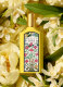 FLORA GORGEOUS ORCHID EAU DE PARFUM 2