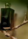 CYPRESS & GRAPEVINE COLOGNE INTENSE 5