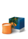 ORANGE BLOSSOM MEDIUM SCENTED CANDLE 1