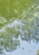 VERDANT GROVE EAU DE PARFUM  3