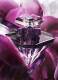 LA NUIT TRESOR LE PARFUM  1