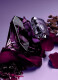 LA NUIT TRESOR LE PARFUM  2