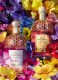 AQUA ALLEGORIA FLORABLOOM FORTE EAU DE PARFUM  3