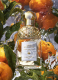 AQUA ALLEGORIA MANDARINE BASILIC  EAU DE TOILETTE  2