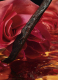 SHALIMAR MILLÉSIME ROSE EAU DE PARFUM – LIMITED EDITION 1