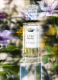 L'EAU RÊVÉE D'HUBERT 2