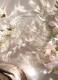 LANCASTER JASMINE SUNSET BODY & HAIR FRAGRANCE MIST 3