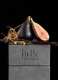 GRIS CHARNEL EXTRAIT EXTRAIT DE PARFUM 4
