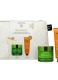 BEE RADIANT ROUTINE LIGHT GIFT SET 0