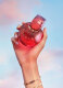 OMNIA CORAL EAU DE TOILETTE REFILLABLE 3