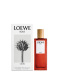 LOEWE SOLO CEDRO EAU DE TOILETTE 1