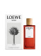 LOEWE SOLO CEDRO EAU DE TOILETTE 1