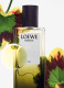 LOEWE ELIXIR ESENCIA EAU DE PARFUM 3
