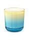 THE RITUAL OF SESHEN SCENTED CANDLE 0