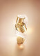 ABSOLUE THE LIGHT CREAM 10