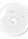 WELLA COLOR MOTION SHAMPOO 8