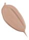 THE NATURAL TRANSPARENT FOUNDATION  1