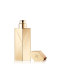 GLOBE TROTTER TRAVEL SPRAY CASE - GOLD 0