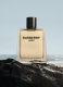BURBERRY HERO EAU DE TOILETTE MEN 15
