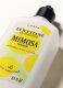 VERBENA MIMOSA BODY LOTION 1