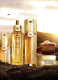 ABEILLE ROYALE HONEY TREATMENT NIGHT CREAM  1