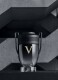 INVICTUS VICTORY EAU DE PARFUM 12