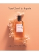 COLLECTION EXTRAORDINAIRE FLEUR DE NUIT EAU DE PARFUM  3