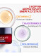 REVITALIFT LASER RENEW NIGHT CREAM 5