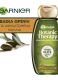 BOTANIC THERAPY MYTHIC OLIVE SHAMPOO 8