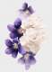 BURBERRY HER EAU DE PARFUM WOMEN 8
