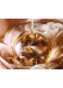 ABSOLUE THE SERUM 6